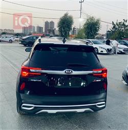 کیا سێلتۆس